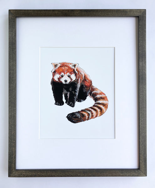 Red Panda Print