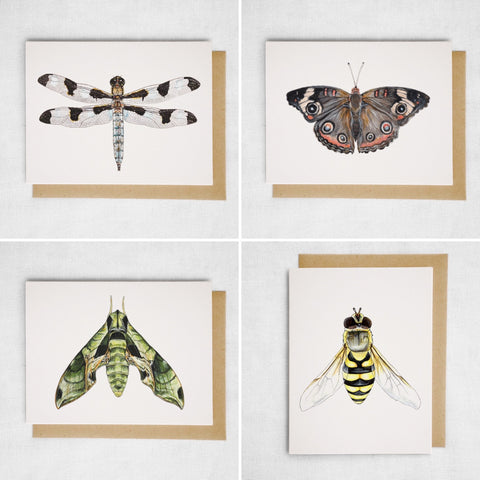 Insect 8 Card Set